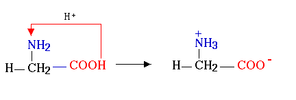 aminohappo kahtaisionina