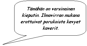 Rounded Rectangular Callout: Tmhn on varsinainen kieputin. Ilmavirran mukana erottuivat porukoista kevyet kaverit.
