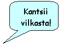 Rounded Rectangular Callout: Kantsii vilkasta!
